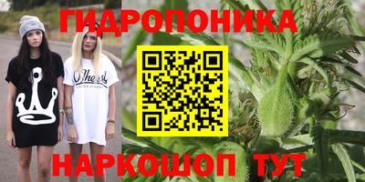 кокс Шебекино
